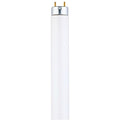 Fluorescent Light Bulb 17W 3500K Medium Bi-Pin O70542