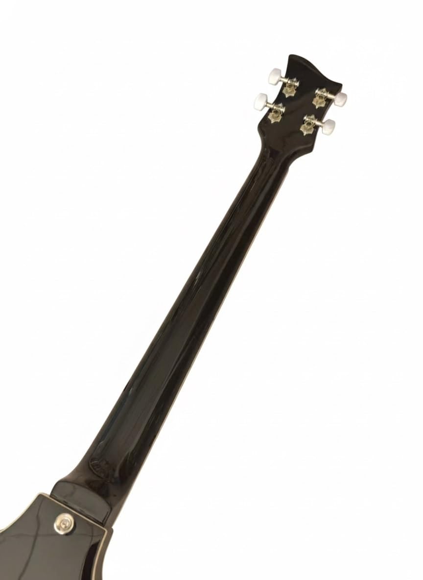 Electric Bass Guitar 4 String 41 Inch Hollow Basswood Body D812