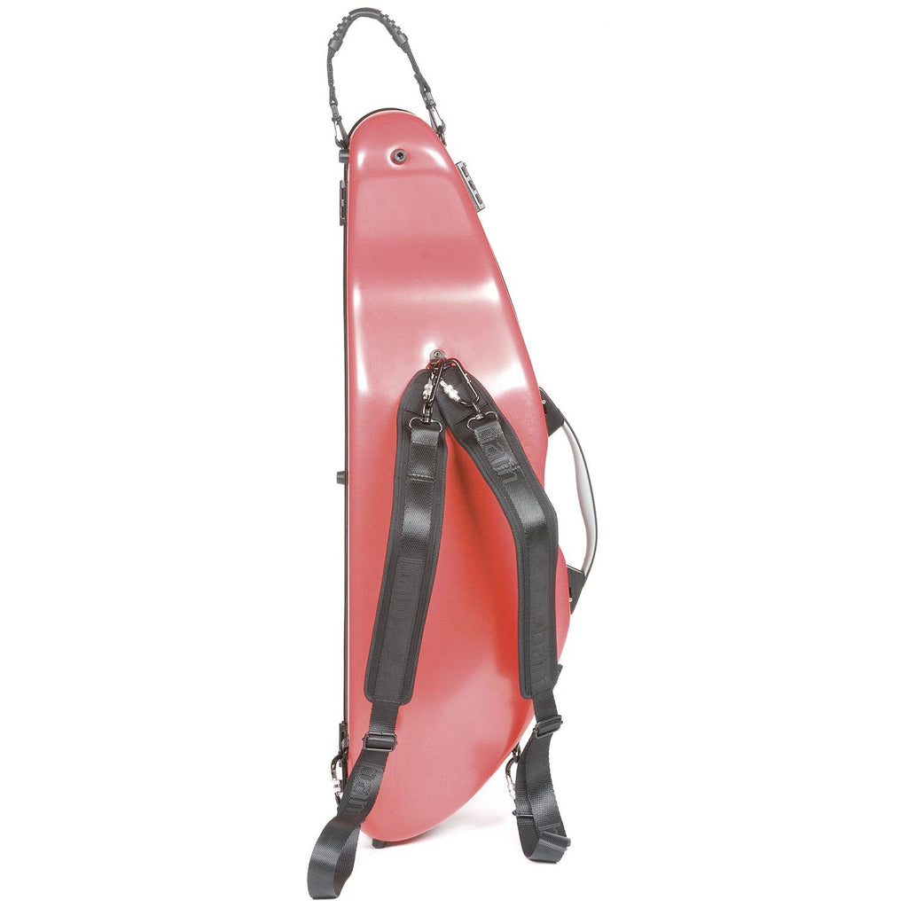 4/4 Violin Case B576691