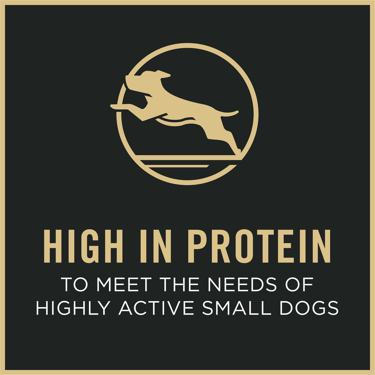 Small Breed Dry Dog Food 6 lb Bag R8967