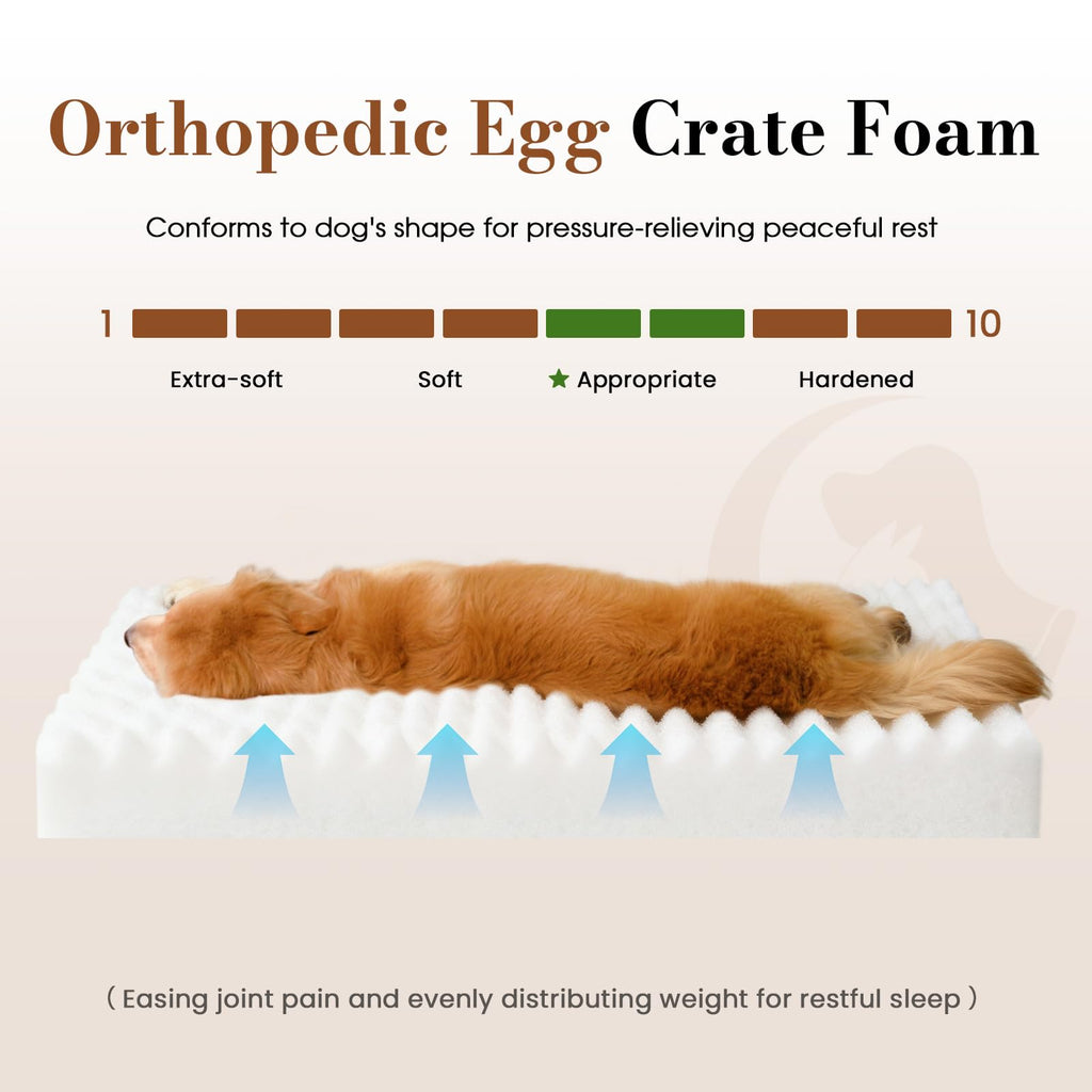 Orthopedic Foam Dog Bed with Waterproof Lining H113761