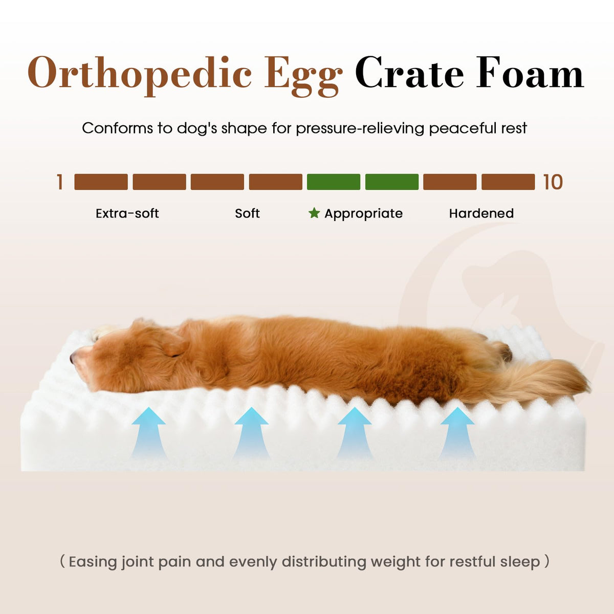 Orthopedic Foam Dog Bed with Waterproof Lining H113761
