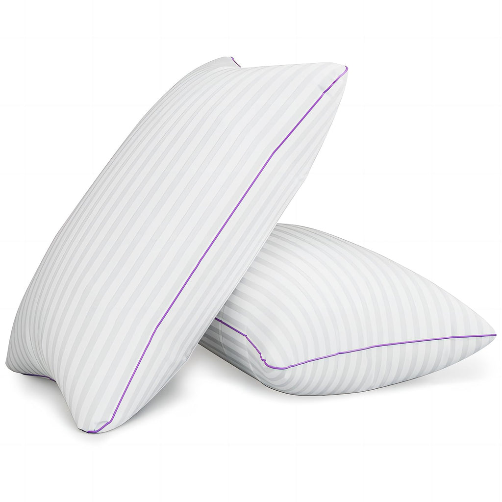 King Size Down Alternative Pillows Set of 2 H340