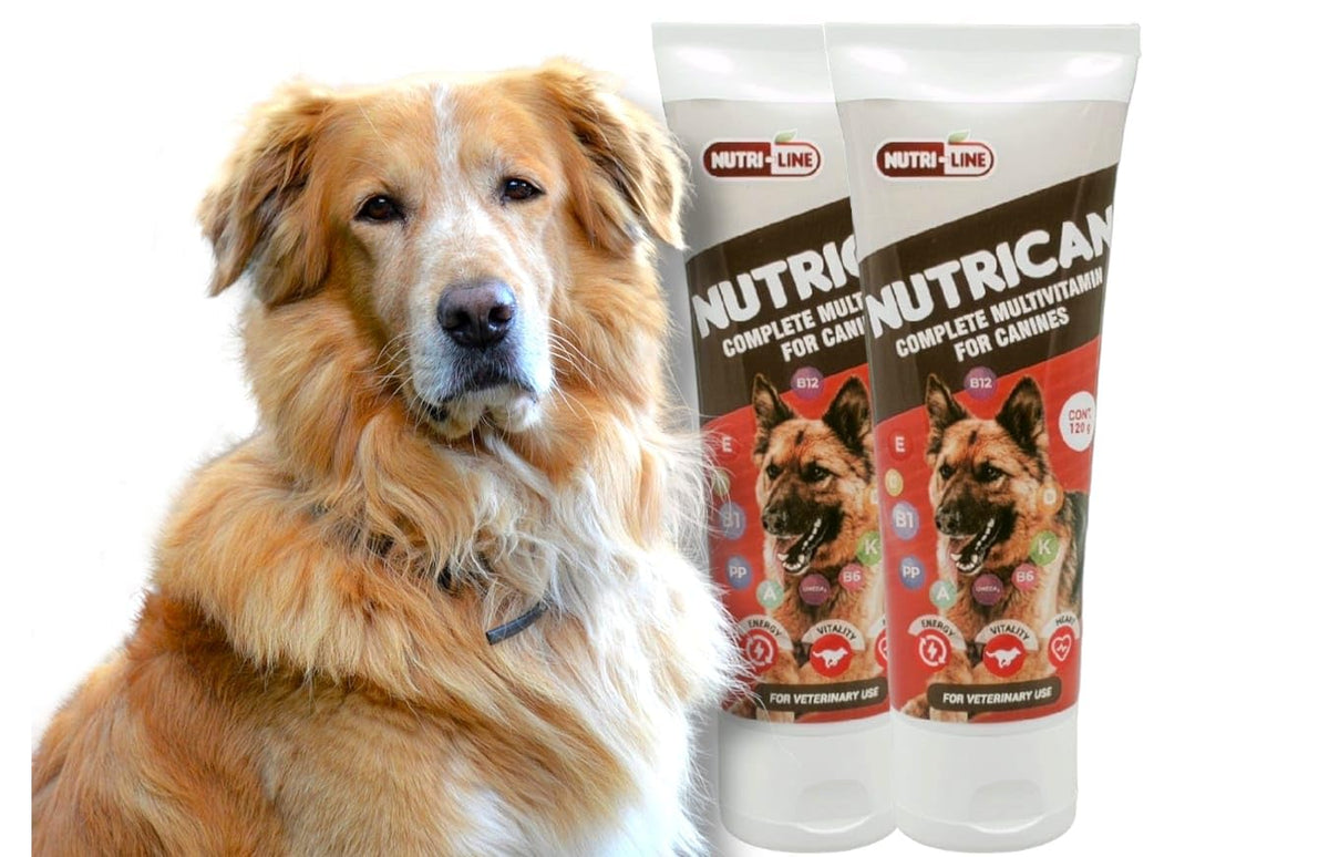 Multivitamin Nutritional Gel for Dogs 4.25 oz N814526