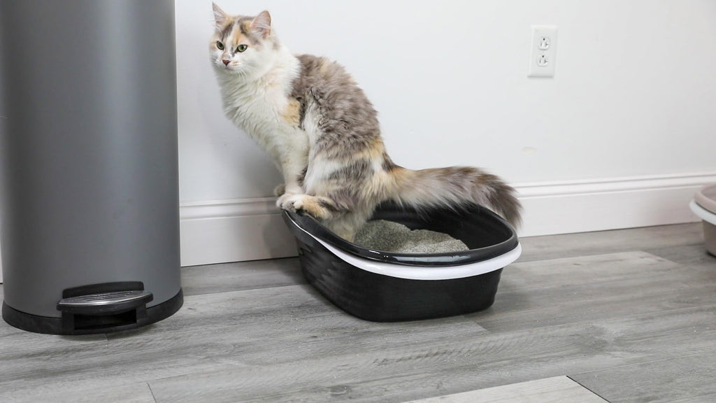 Large Sifting Cat Litter Box C793