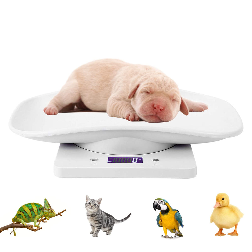 Digital Pet Scale with Tray Z450782