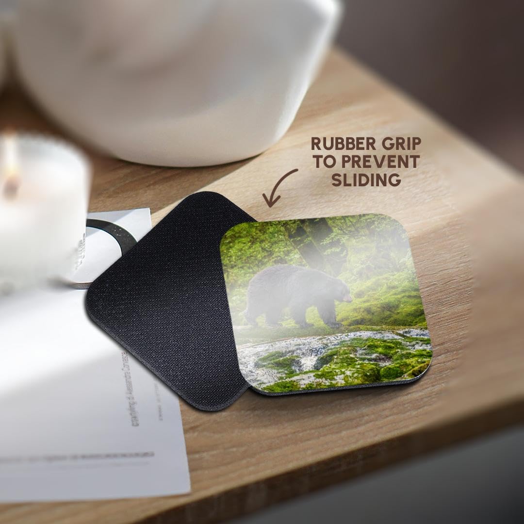 Set of 8 Coasters Y231197