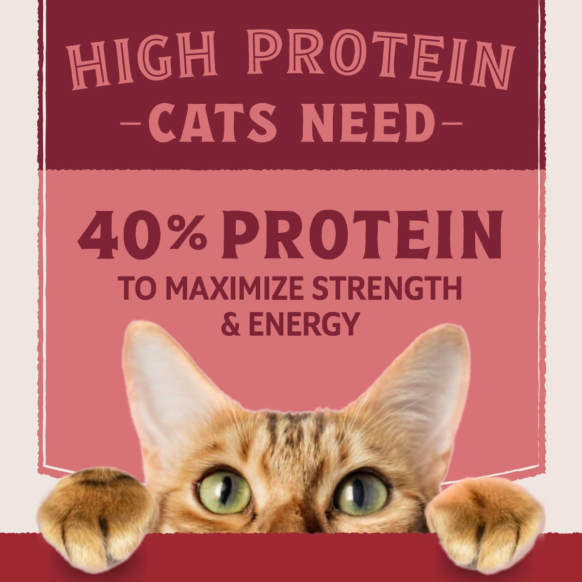 Salmon & Chicken Meal Protein Y651