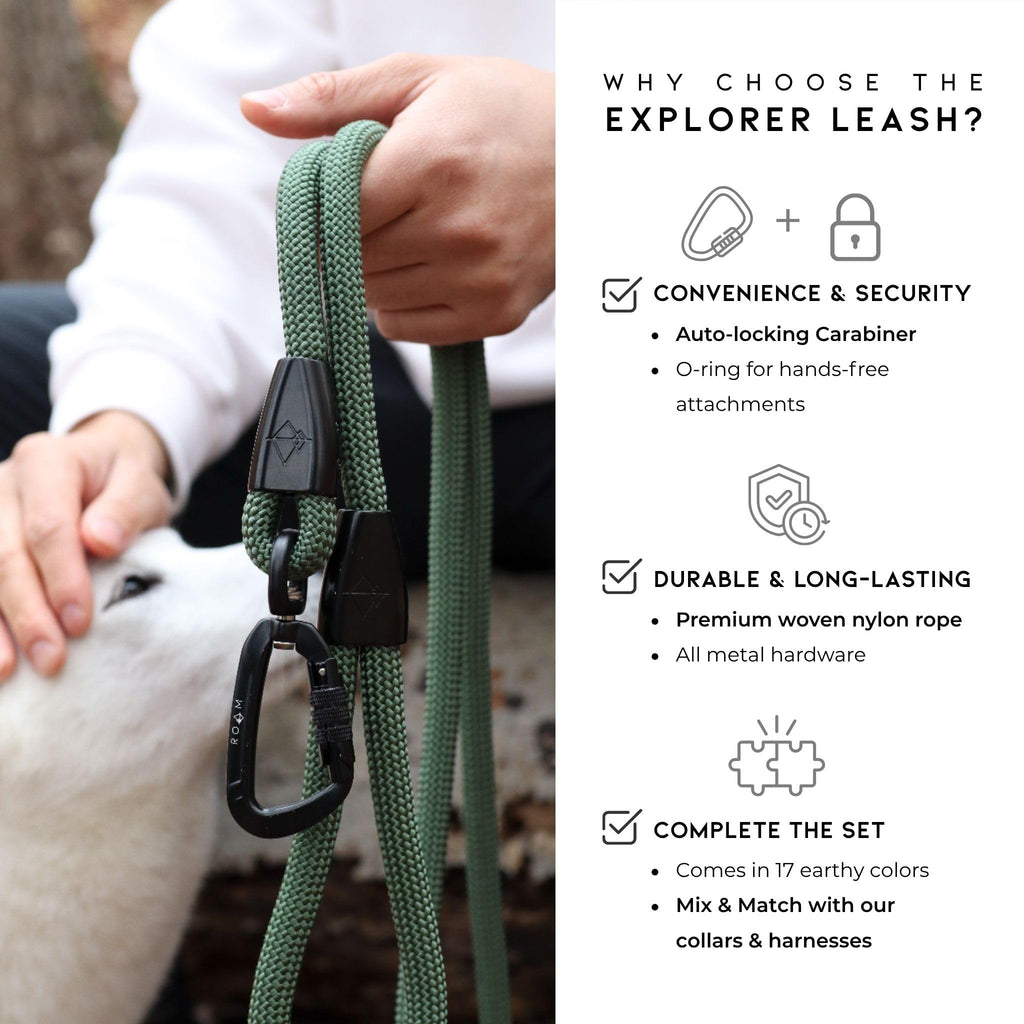 Climbing Rope Leash with Autolocking Carabiner, 6ft E113