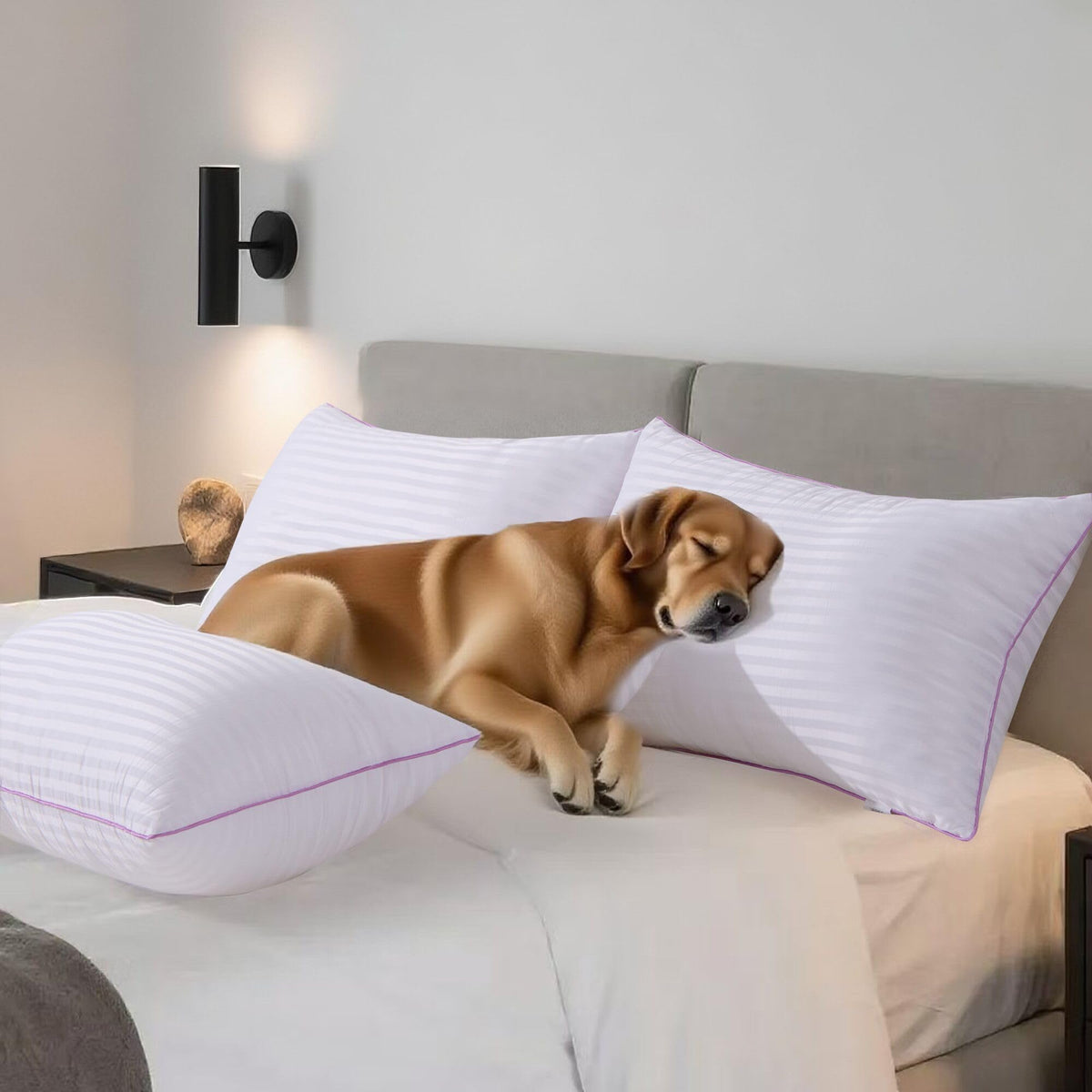 King Size Down Alternative Pillows Set of 2 H340