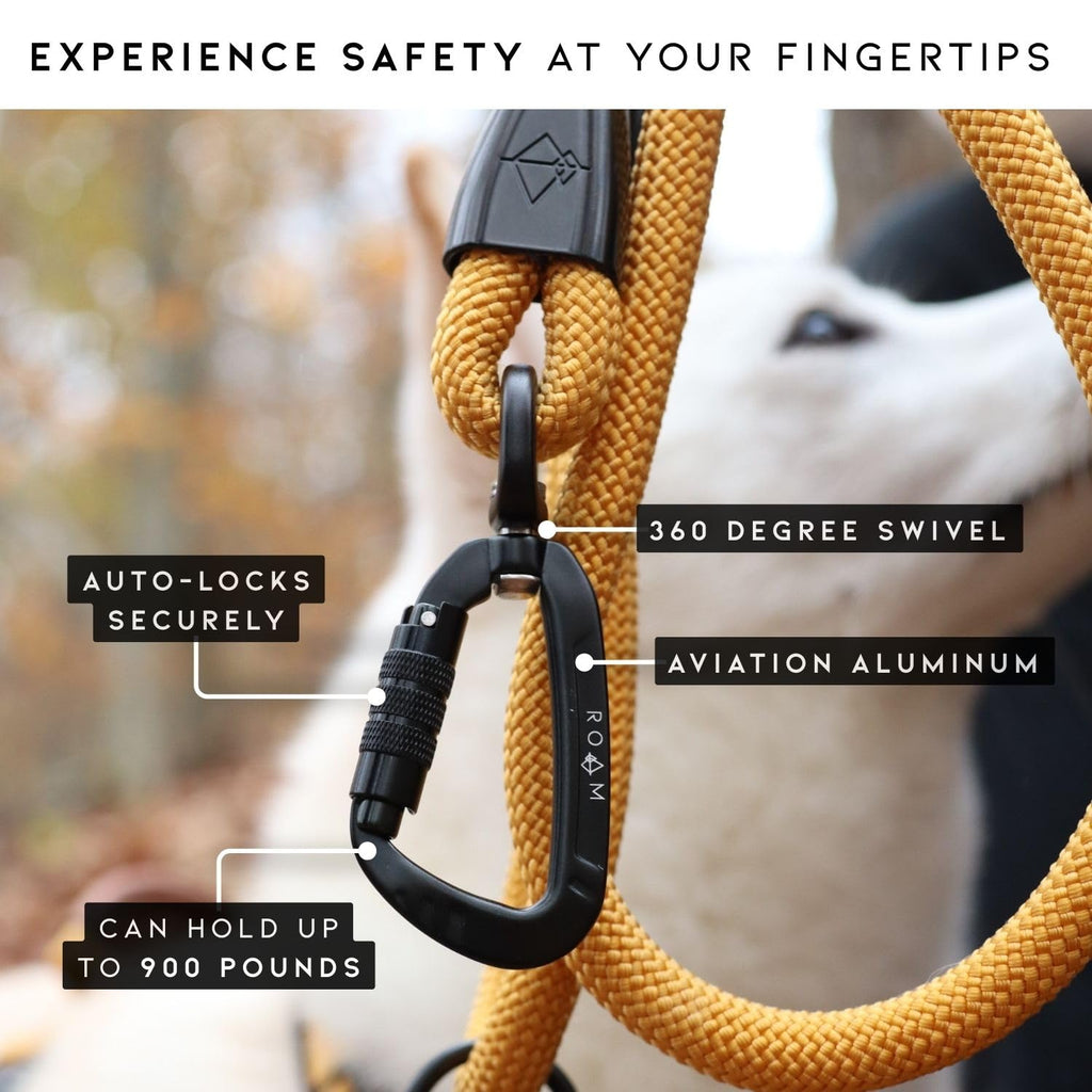 Climbing Rope Leash with Autolocking Carabiner, 6ft E113