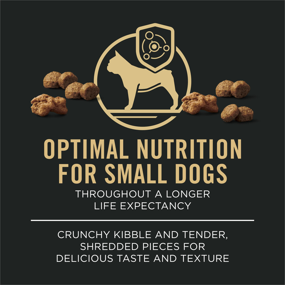 Small Breed Dry Dog Food 6 lb Bag R8967