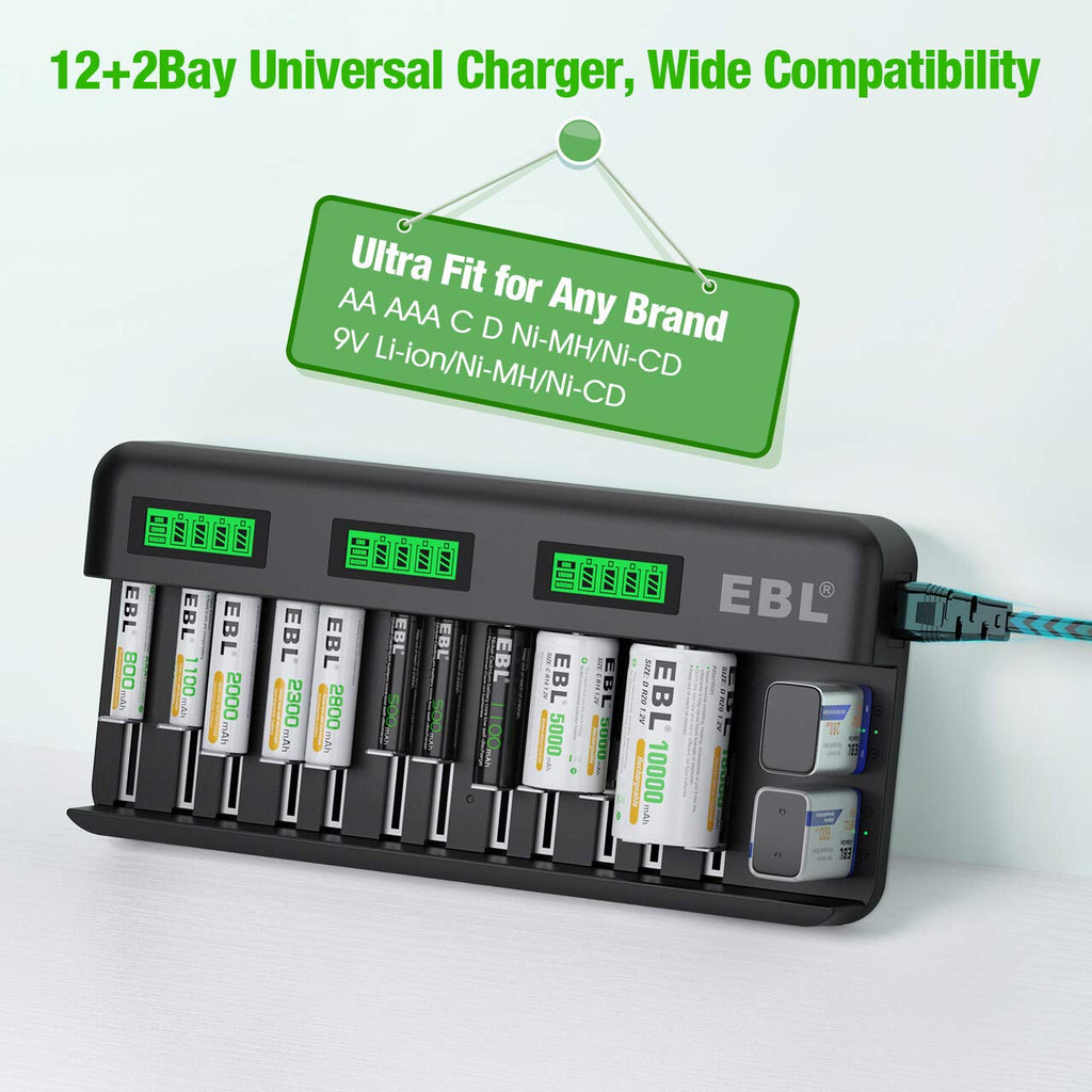 8 Pack 10000mAh Ni-MH D Rechargeable Batteries with Charger P250