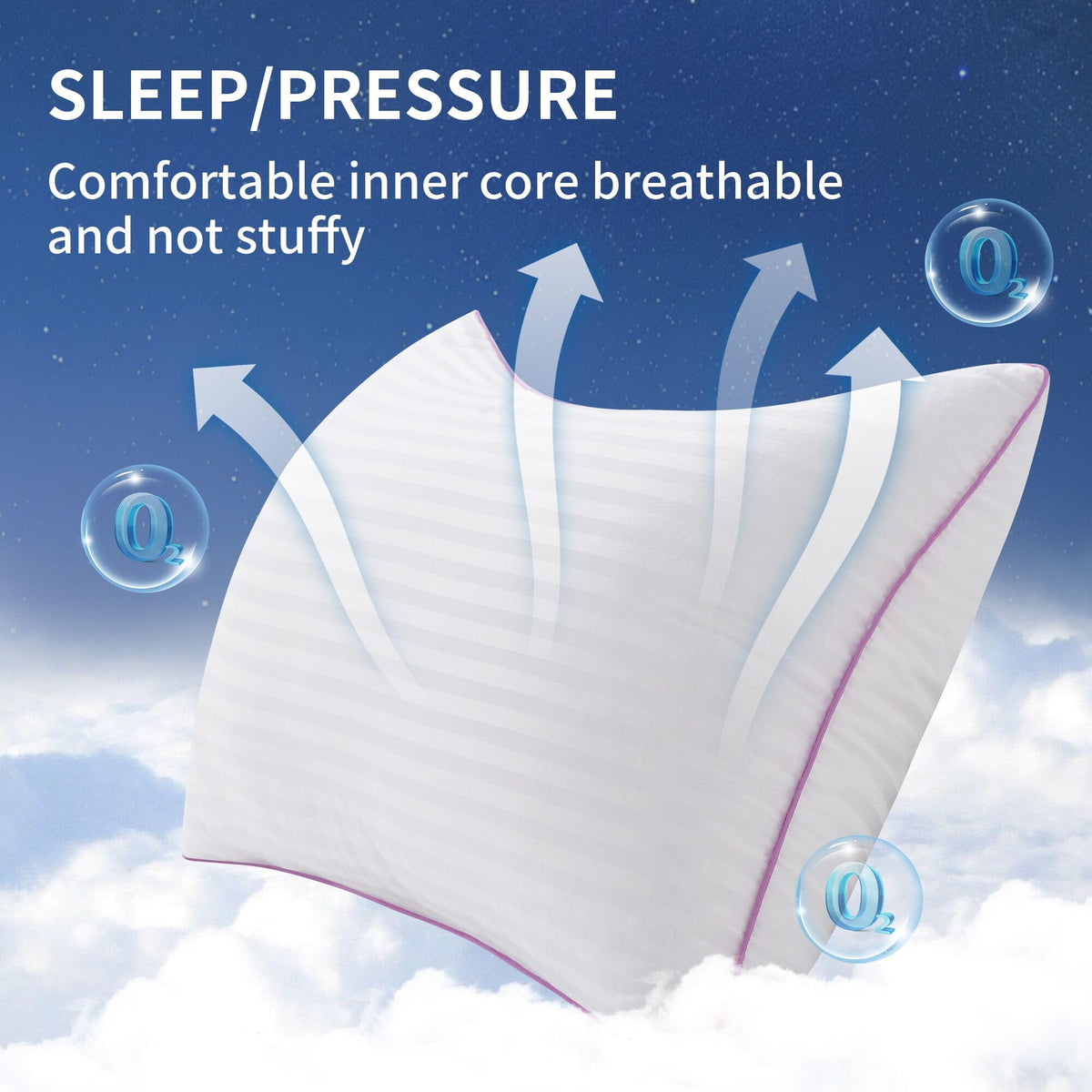 King Size Down Alternative Pillows Set of 2 H340