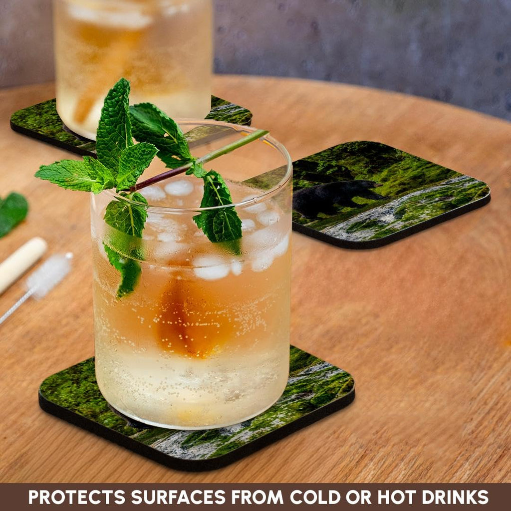 Set of 8 Coasters Y231197