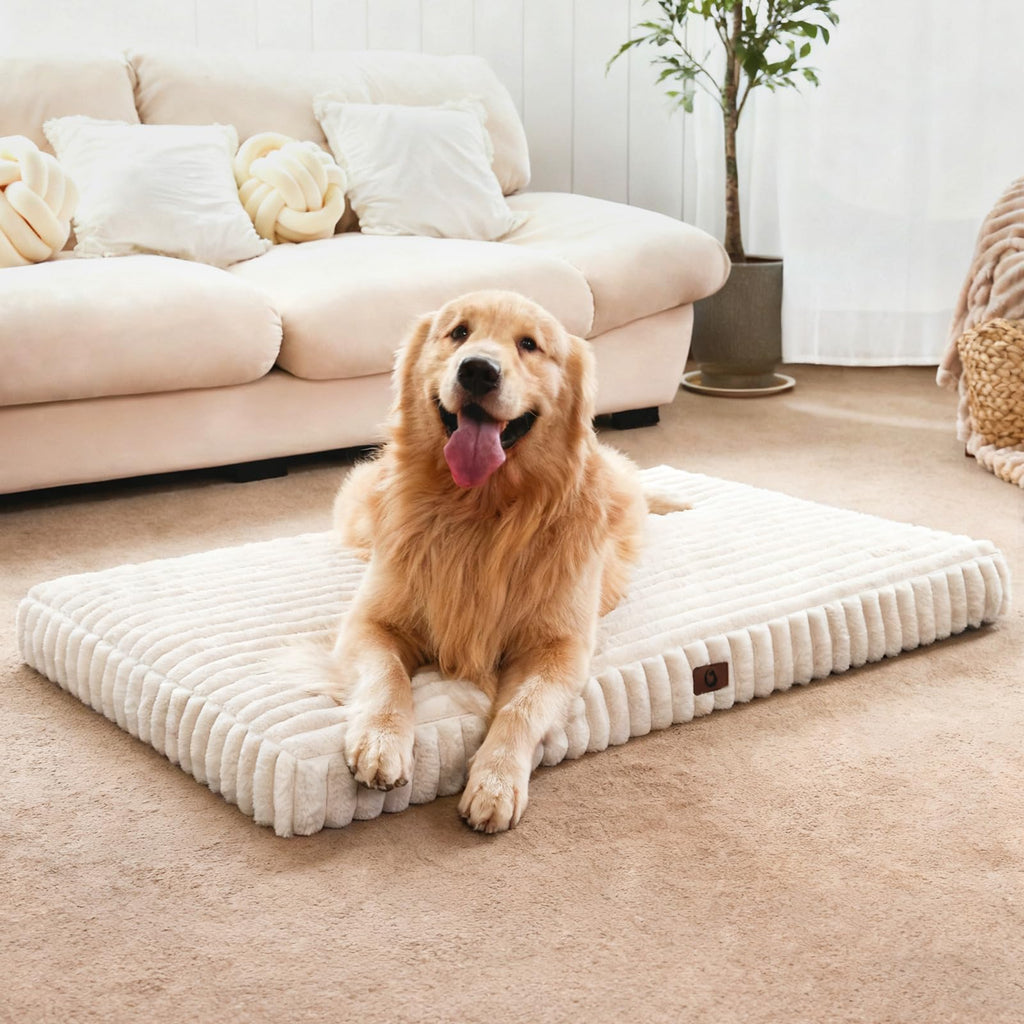 Orthopedic Foam Dog Bed with Waterproof Lining H113761