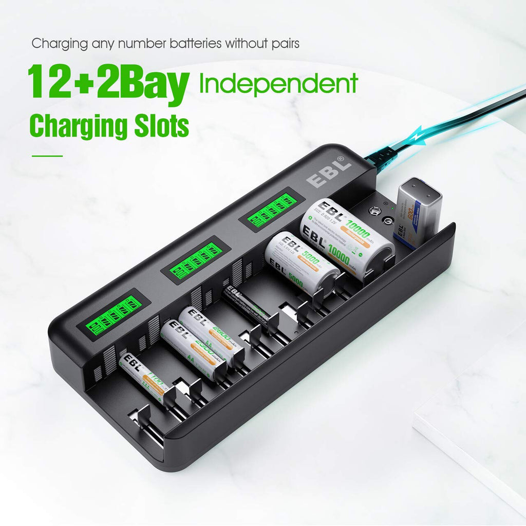 8 Pack 10000mAh Ni-MH D Rechargeable Batteries with Charger P250