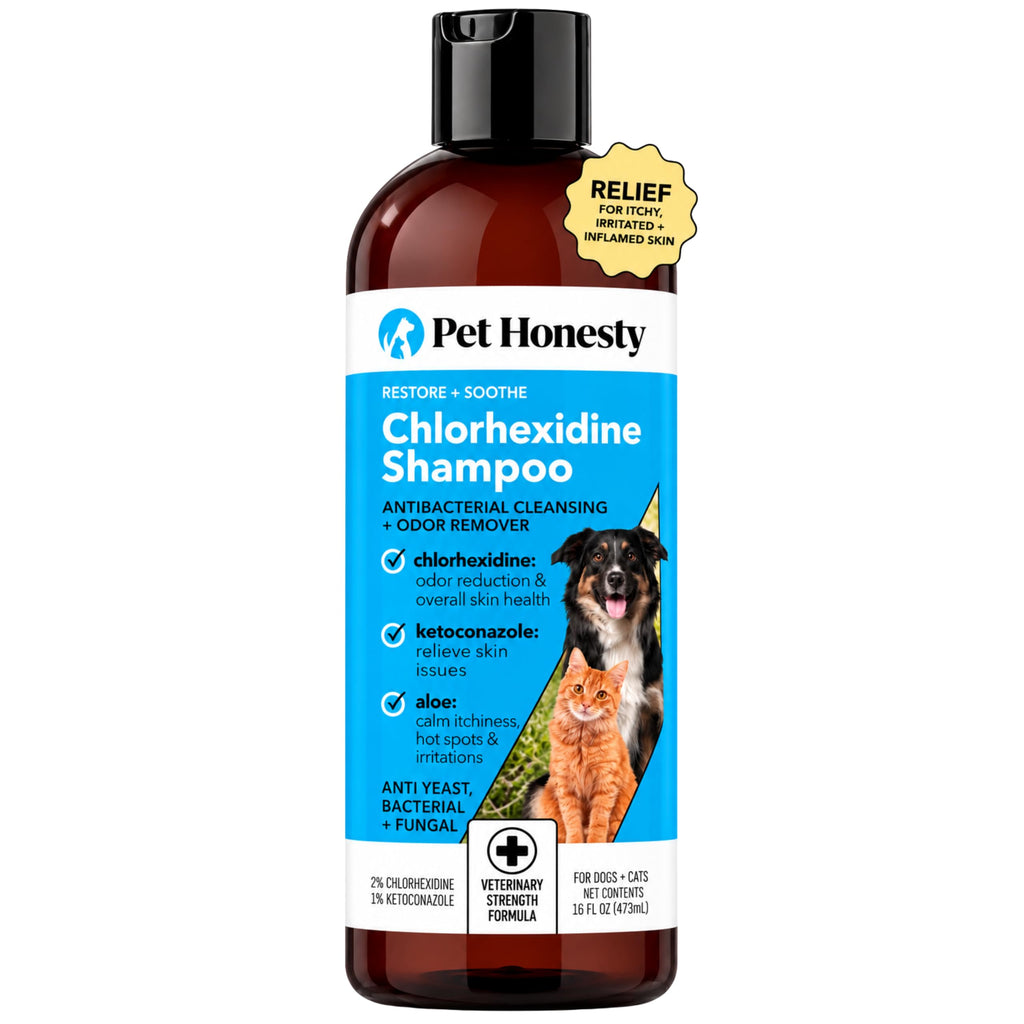 Chlorhexidine Dog Shampoo 16oz Z5256