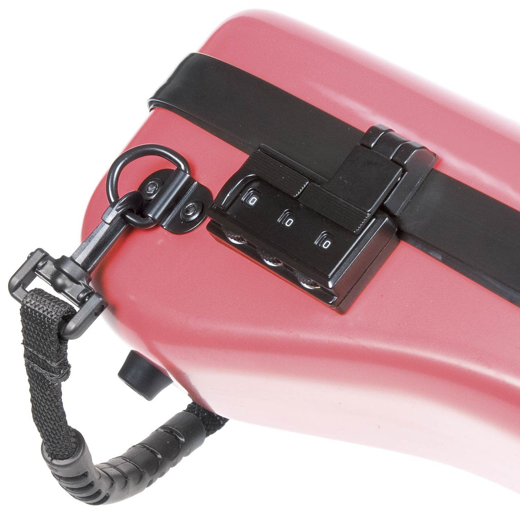 4/4 Violin Case B576691