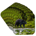 Set of 8 Coasters Y231197
