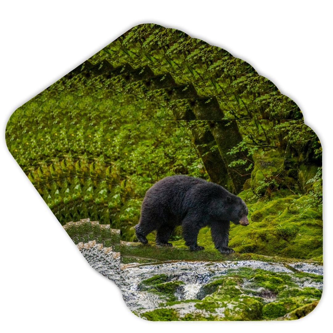 Set of 8 Coasters Y231197