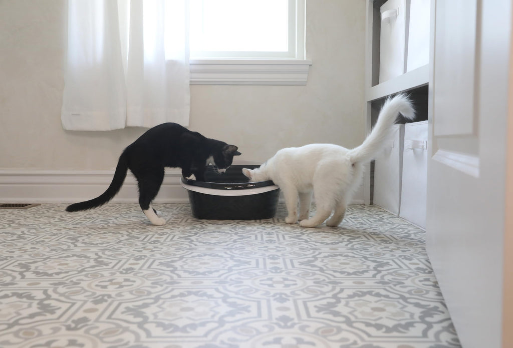 Large Sifting Cat Litter Box C793