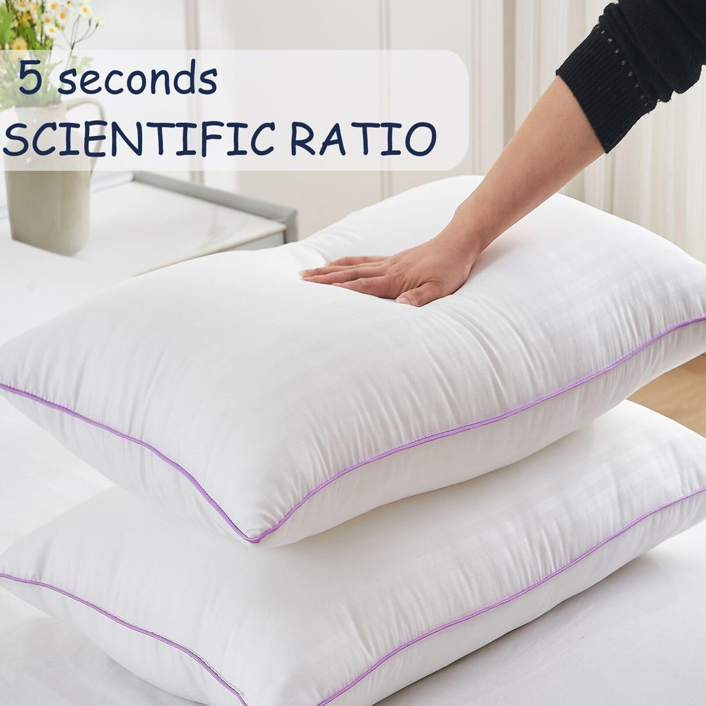King Size Down Alternative Pillows Set of 2 H340