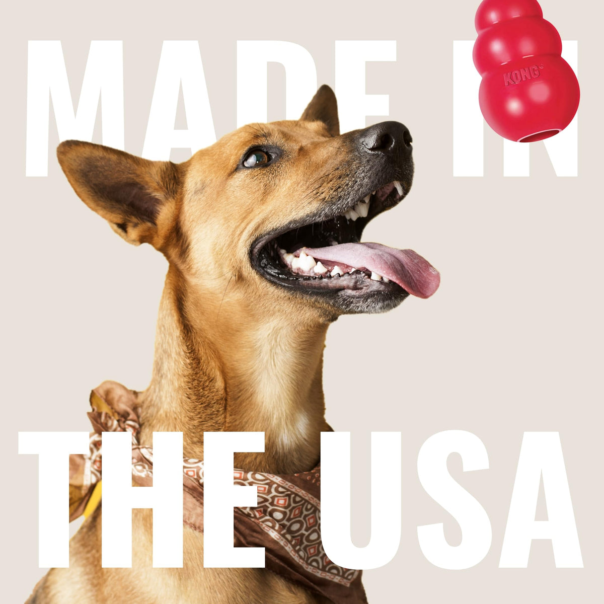 Peanut Butter and Sweet Potato Dog Treat Paste 5 oz T4091