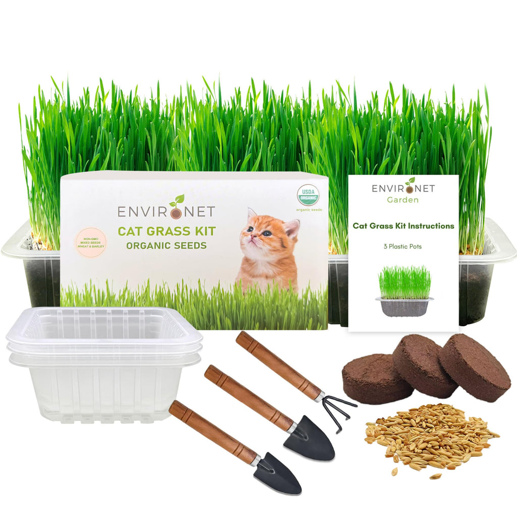 Organic Cat Grass Growing Kit with Seeds Soil and Planting Tools 3-Pack Plastic Pots X9725