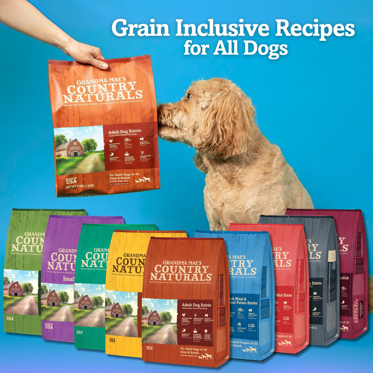 Chicken & Brown Rice Dry Dog Food 14 LB Bag I635157