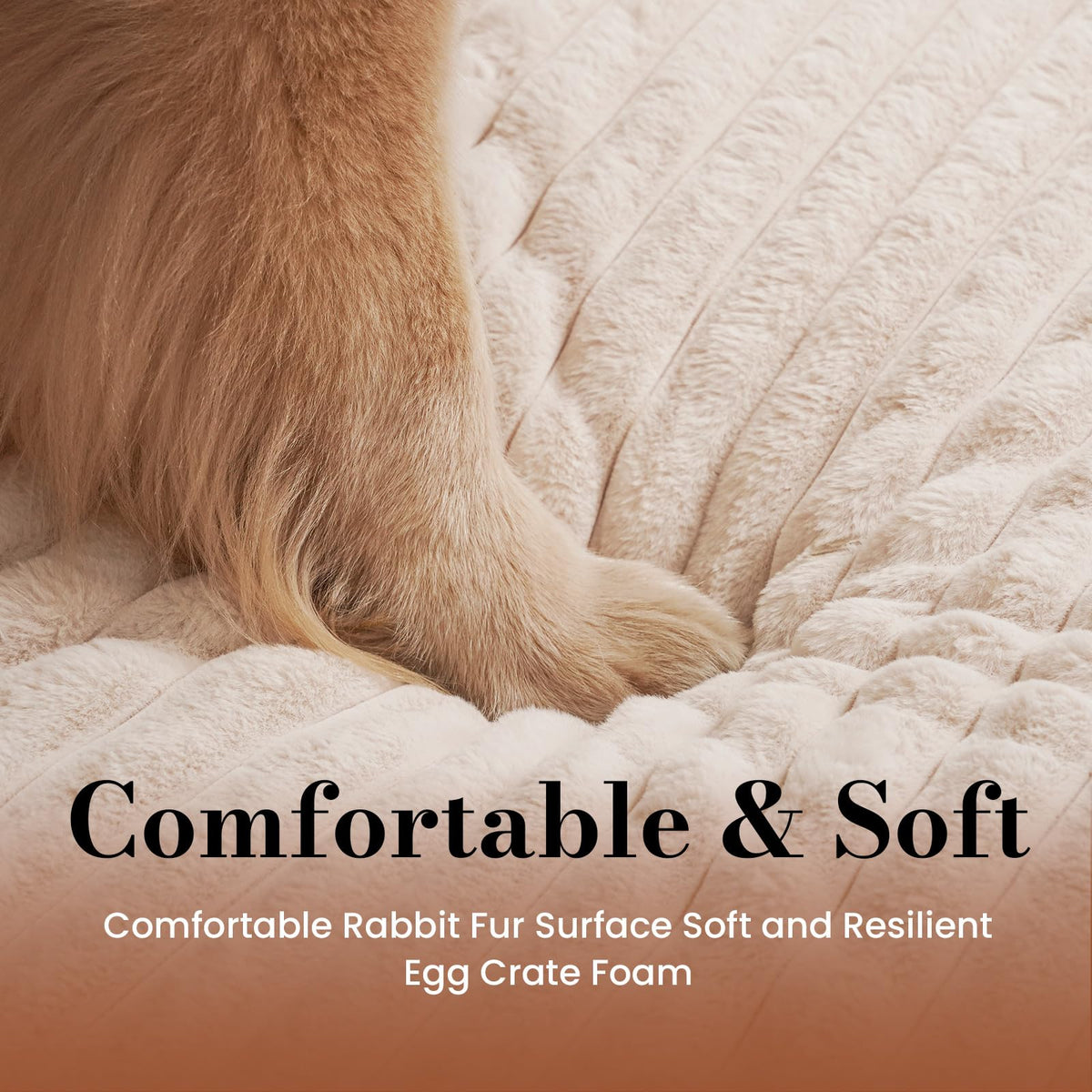 Orthopedic Foam Dog Bed with Waterproof Lining H113761