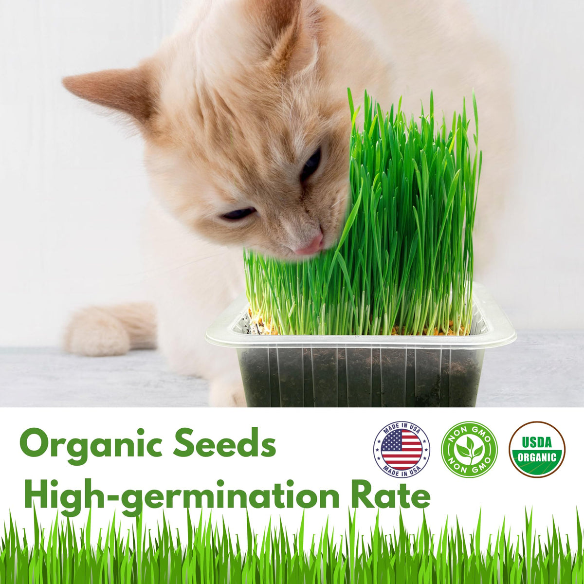 Organic Cat Grass Growing Kit with Seeds Soil and Planting Tools 3-Pack Plastic Pots X9725