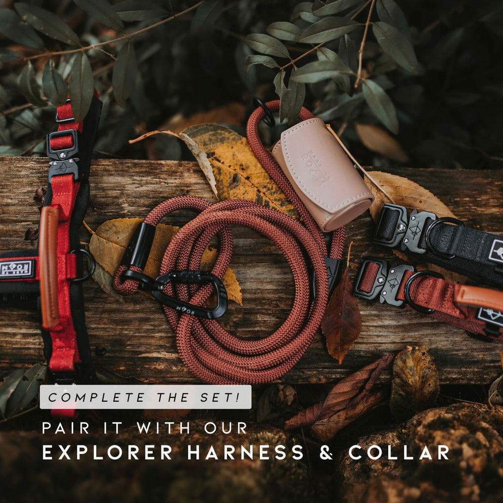 Climbing Rope Leash with Autolocking Carabiner, 6ft E113