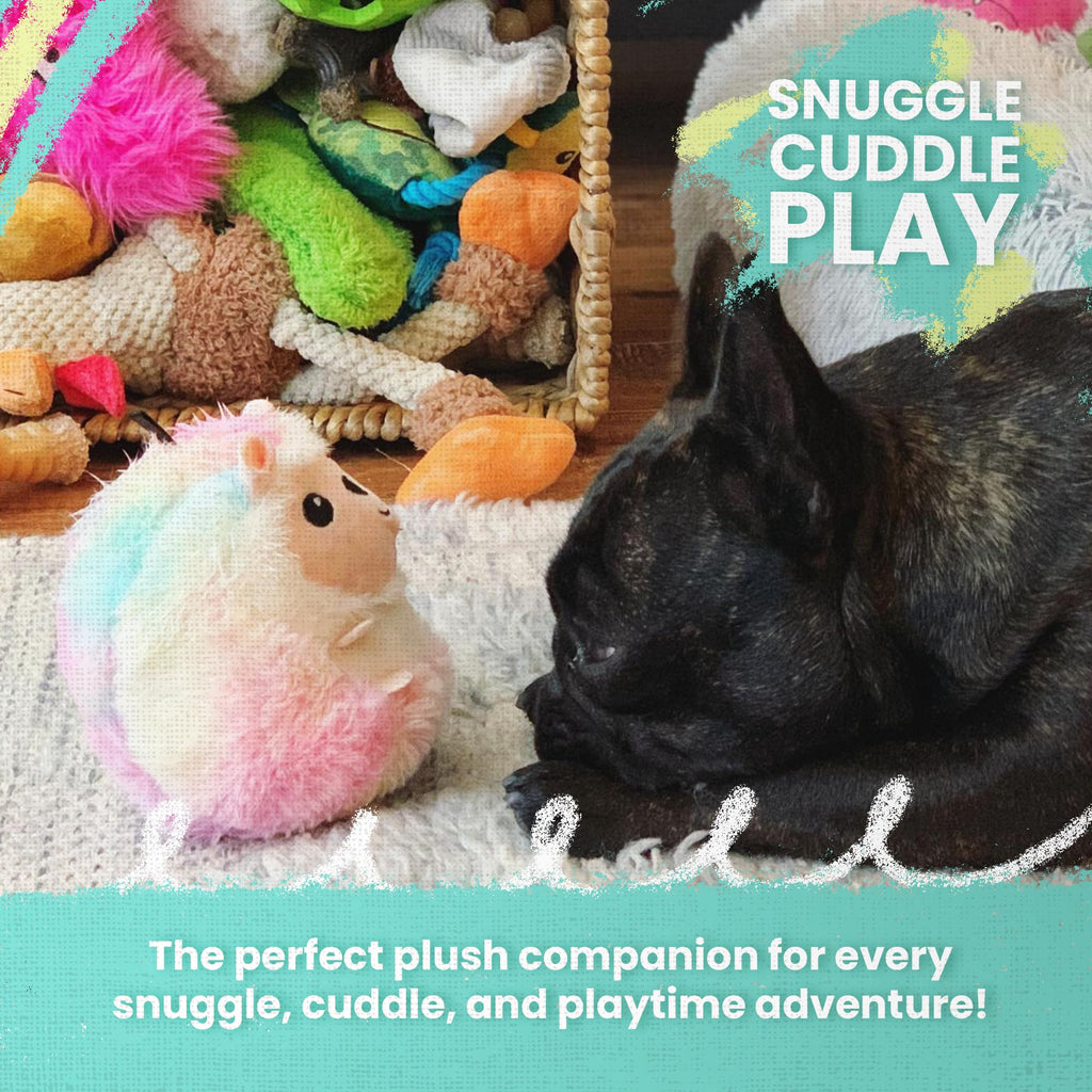 Dog Toy with Squeaker and Crinkle L26171