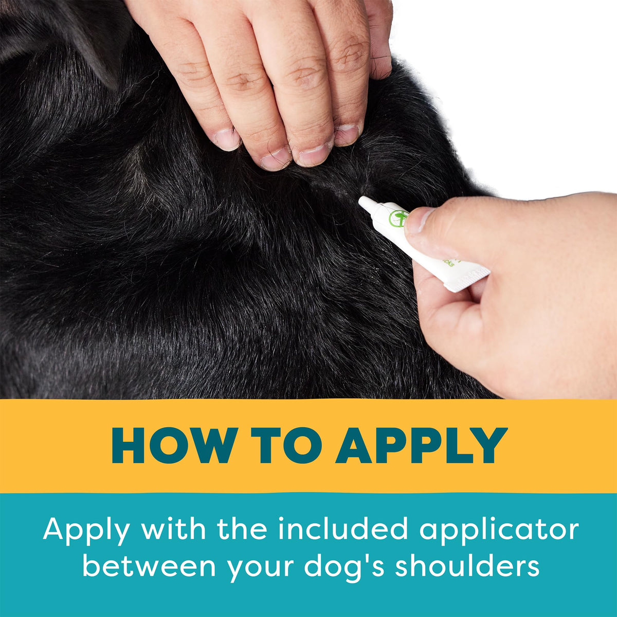 Flea and Tick Prevention for Large Breed Dogs X913