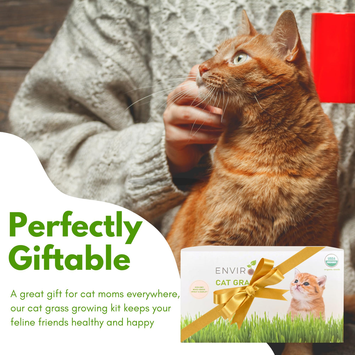 Organic Cat Grass Growing Kit with Seeds Soil and Planting Tools 3-Pack Plastic Pots X9725