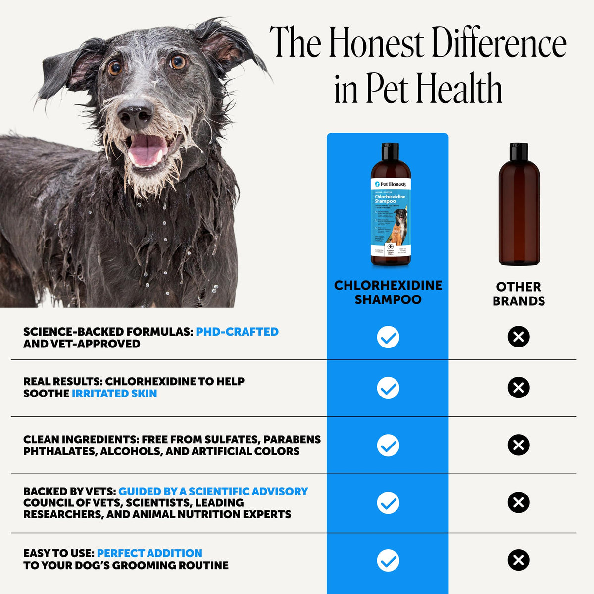 Chlorhexidine Dog Shampoo 16oz Z5256