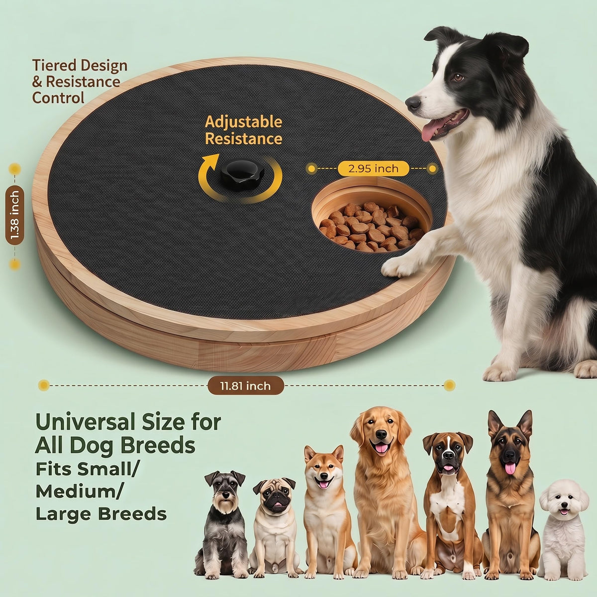Rubberwood Adjustable Dog Nail Scratch Board with Treat Box F283280
