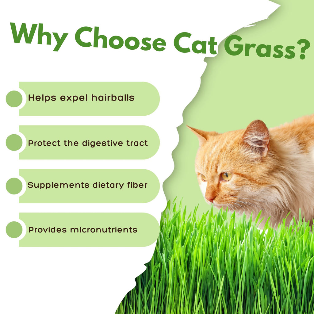 Organic Cat Grass Growing Kit with Seeds Soil and Planting Tools 3-Pack Plastic Pots X9725