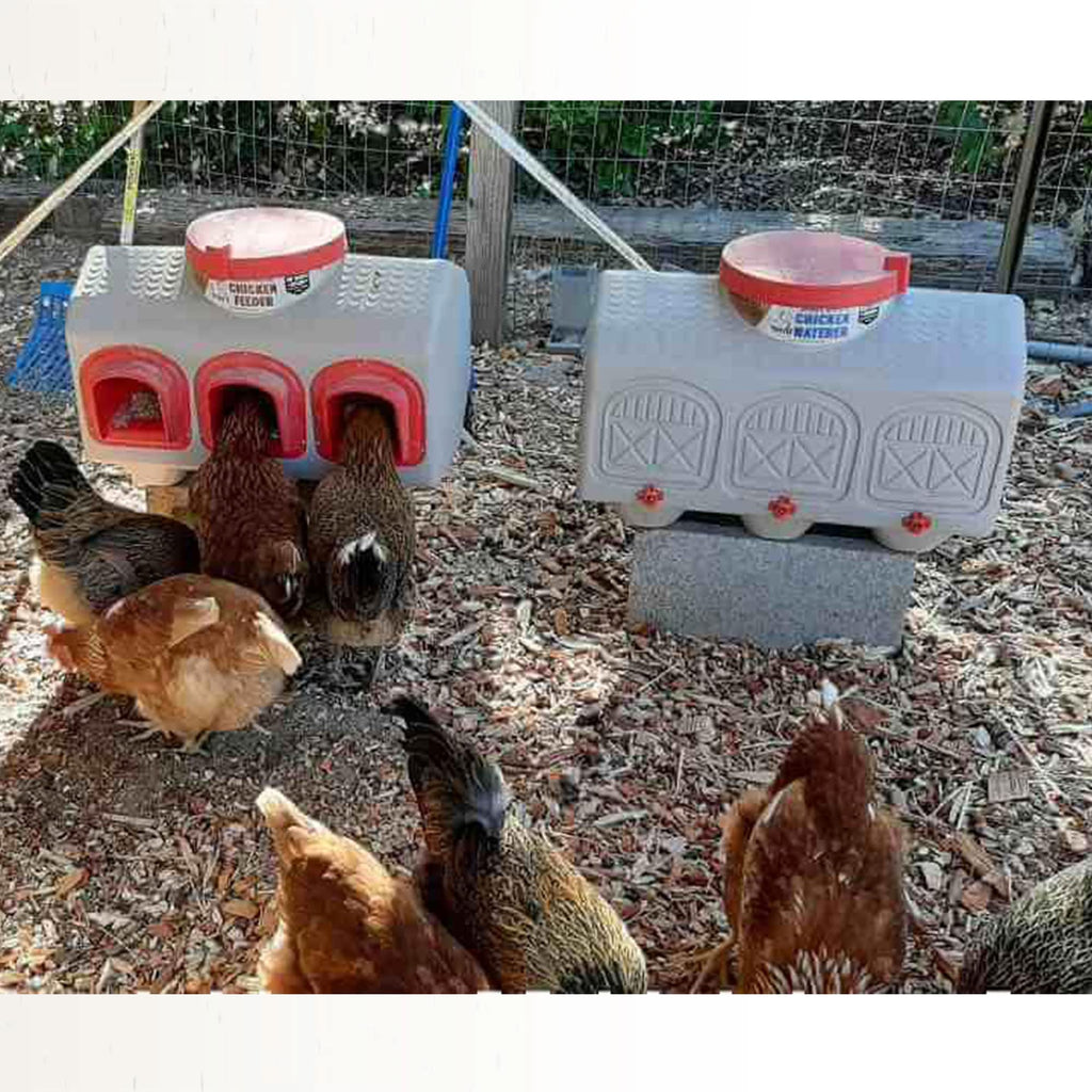 Automatic Chicken Waterer 12 Gallon A1386