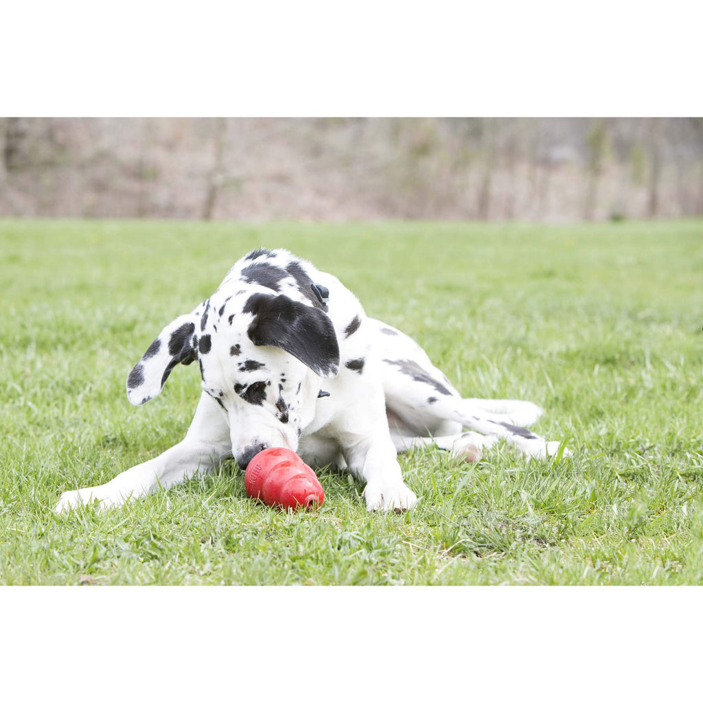 Peanut Butter and Sweet Potato Dog Treat Paste 5 oz T4091