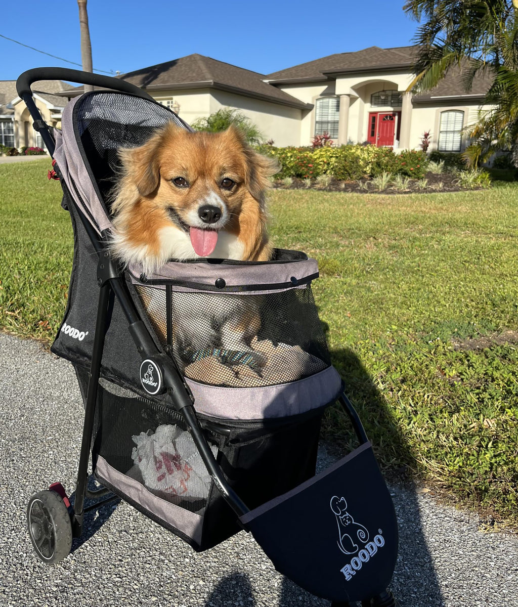 3 Wheel Pet Stroller G85539